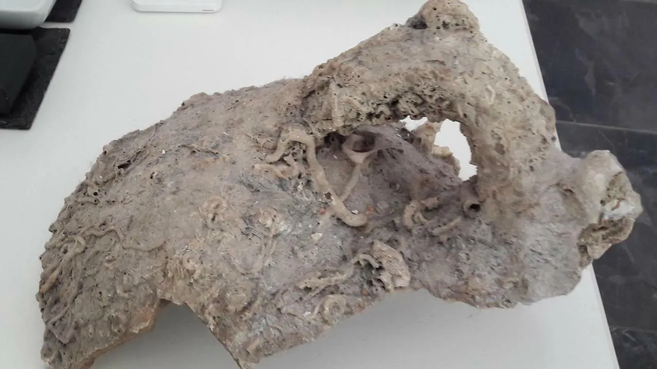 Apartman Amphora Split